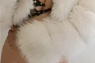 INCALLS//OUTCALLS & MEETUPS !!... - Image 1